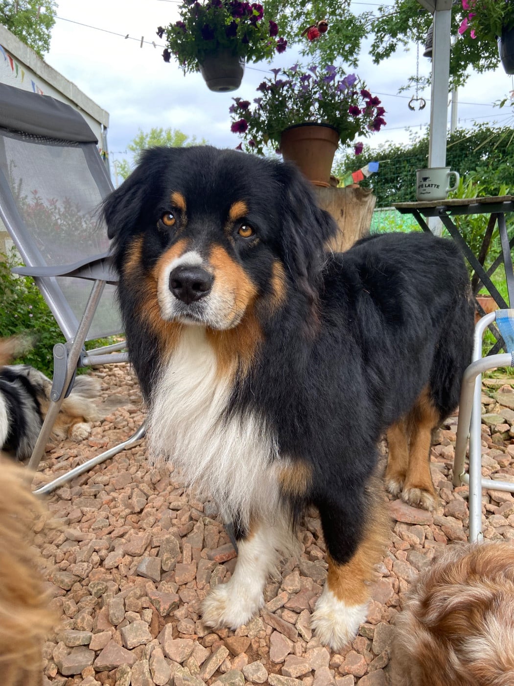 Pablo picasso keep cool Des Collines Du Lac De Paladru