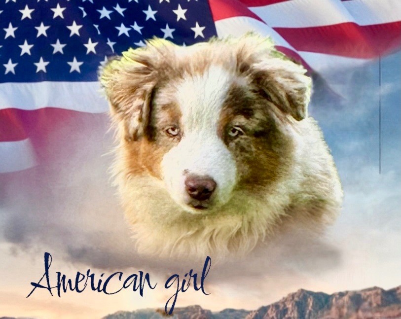 Publication : Des Plaines De Barbizon