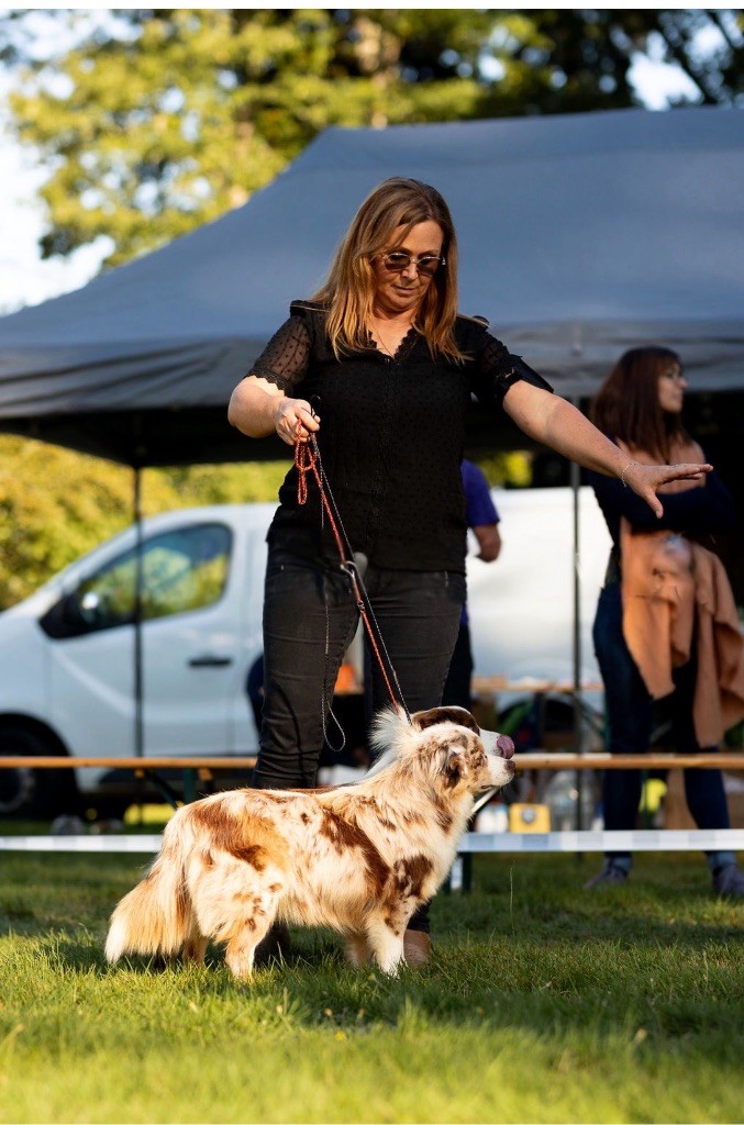 (arya) sarah mini of musimaciay