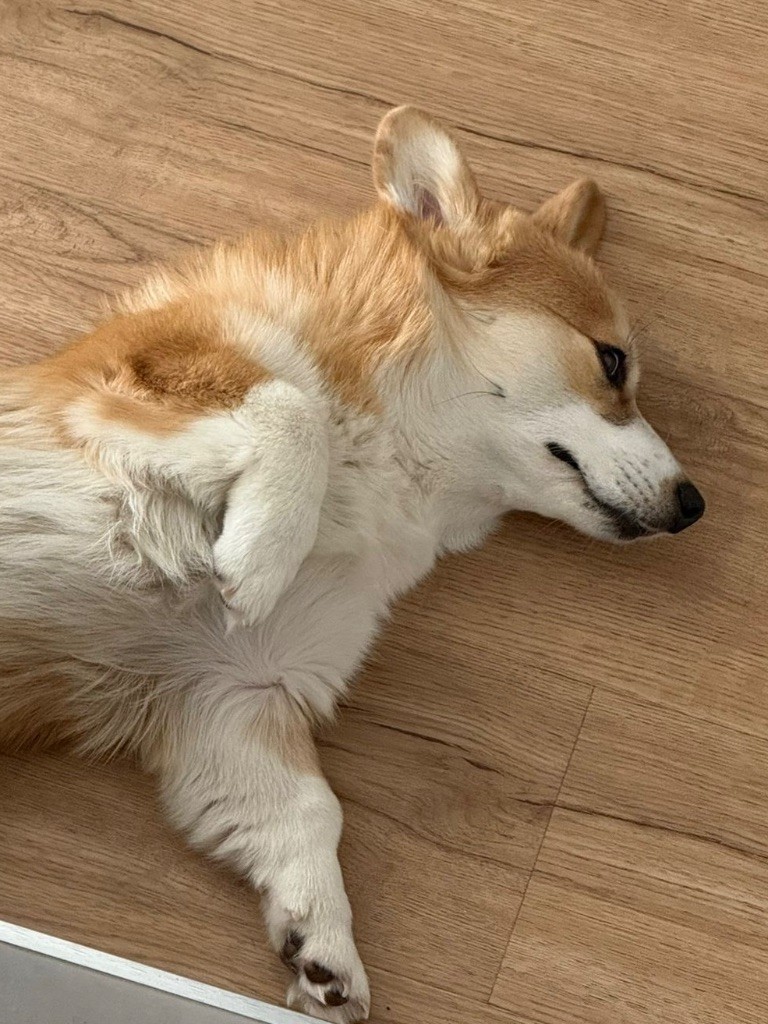 ara millenium Barbra streisand