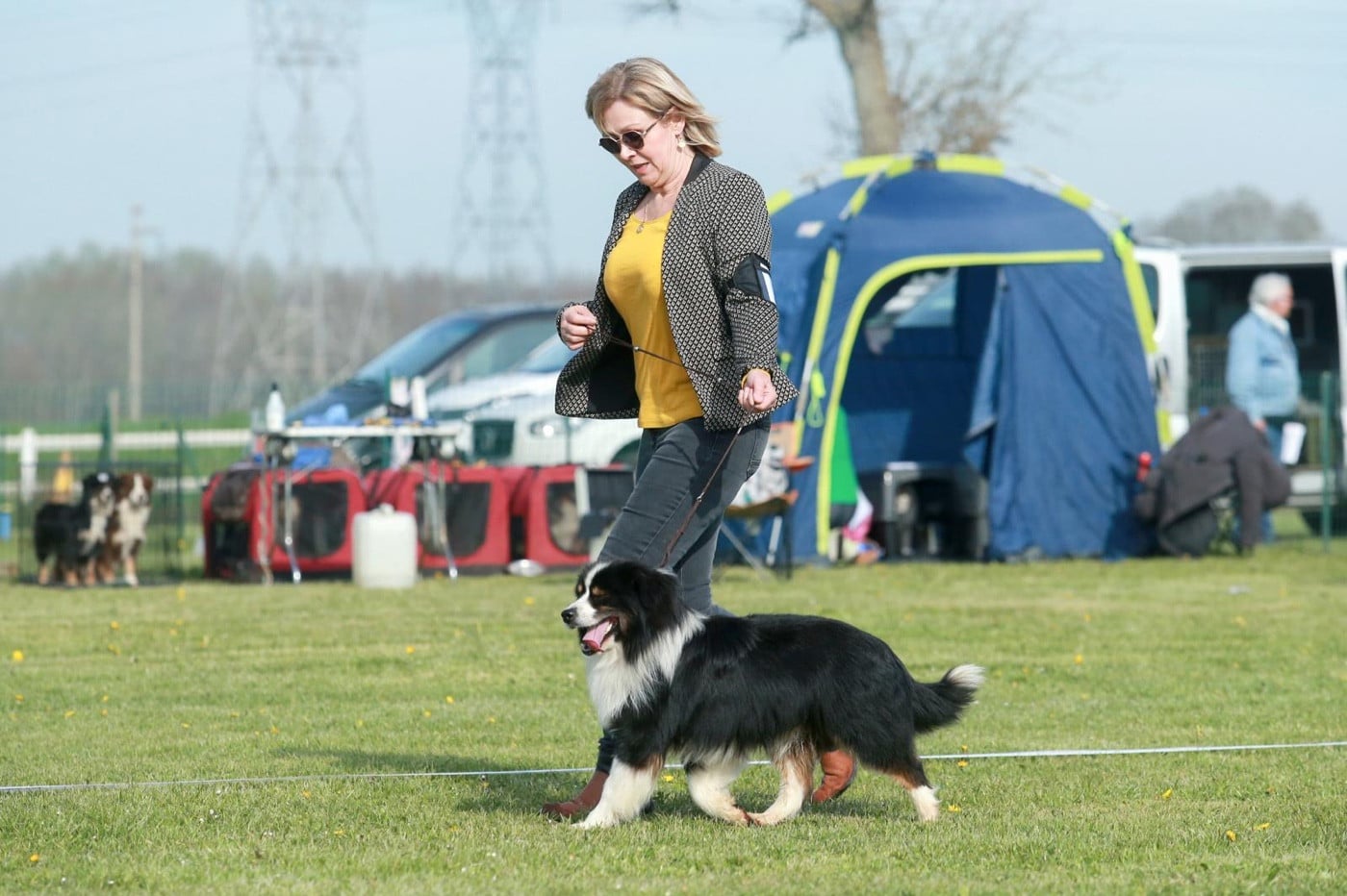 Publication : Des Plaines De Barbizon Auteur : Les plaines de barbizon