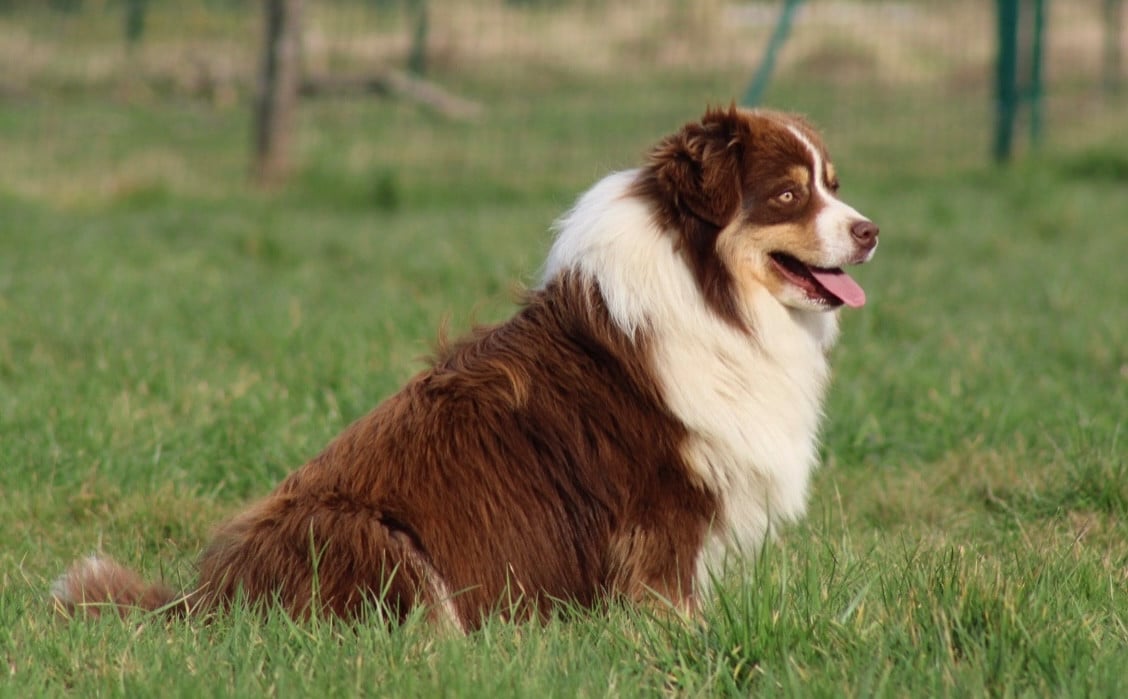 All the stars in the sky of american madness