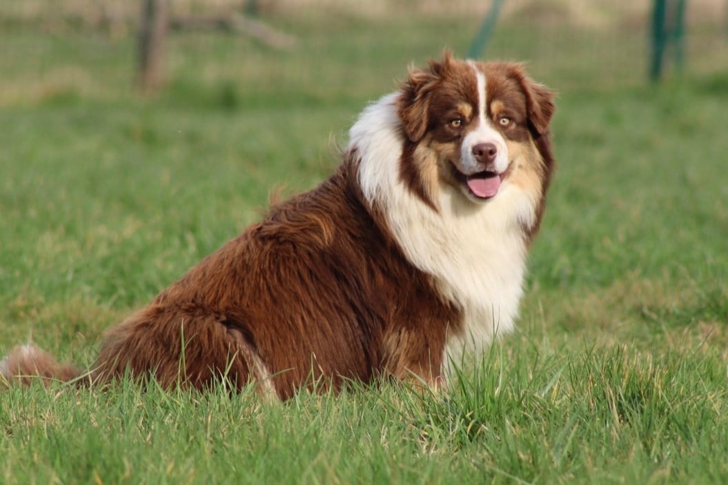 All the stars in the sky of american madness