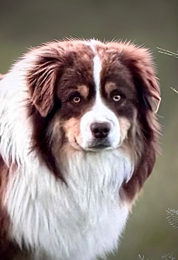 All the stars in the sky of american madness