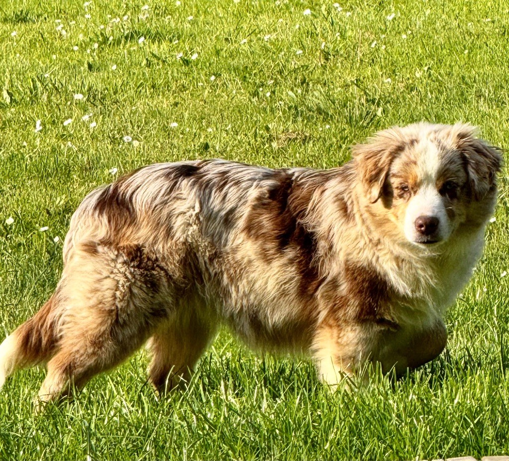 (arya) sarah mini of musimaciay