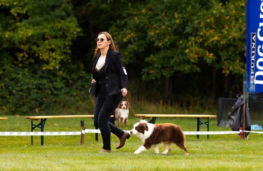 Arrow Des Plaines De Barbizon