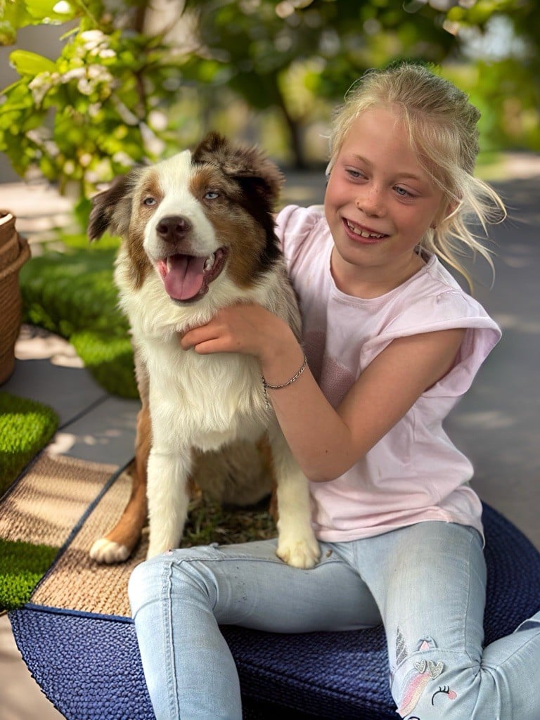 Apache Des Plaines De Barbizon