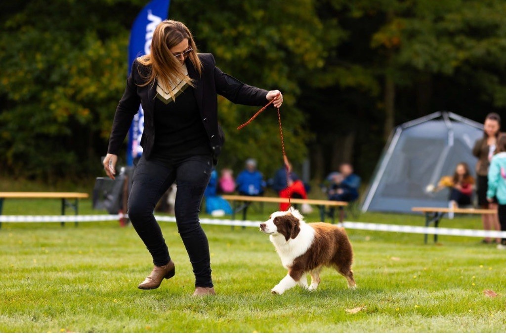 Arrow Des Plaines De Barbizon