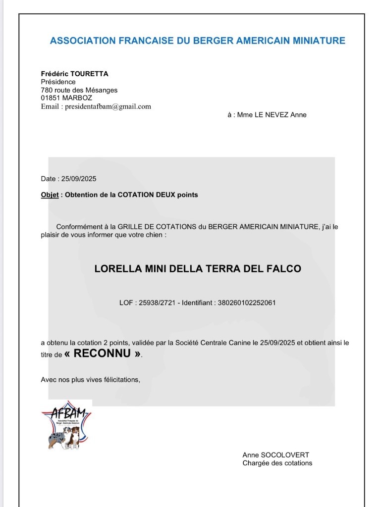 Lorella mini della terra del falco