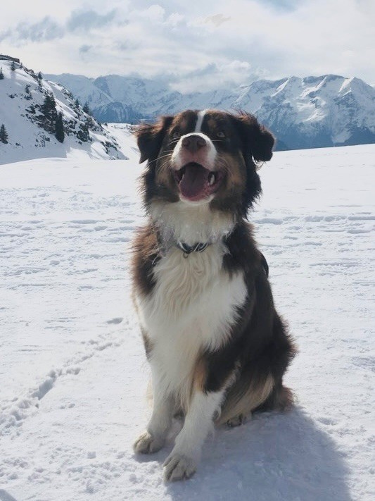 Victoire Des Plaines De Barbizon