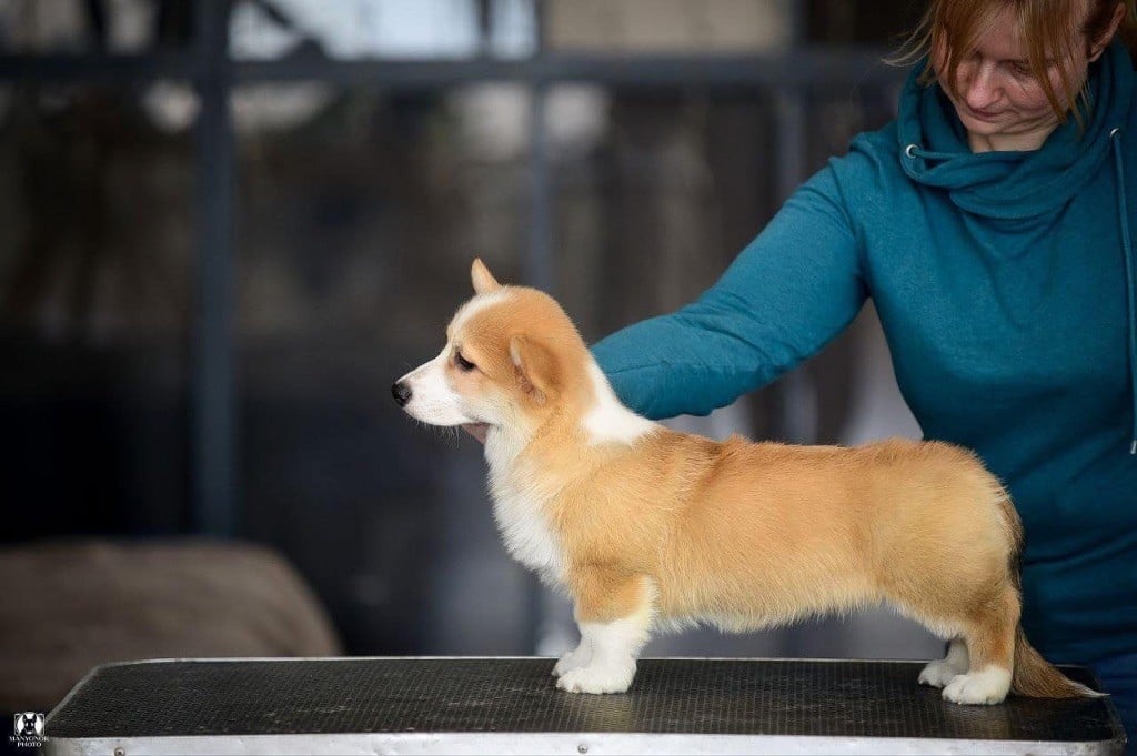 ara millenium Barbra streisand