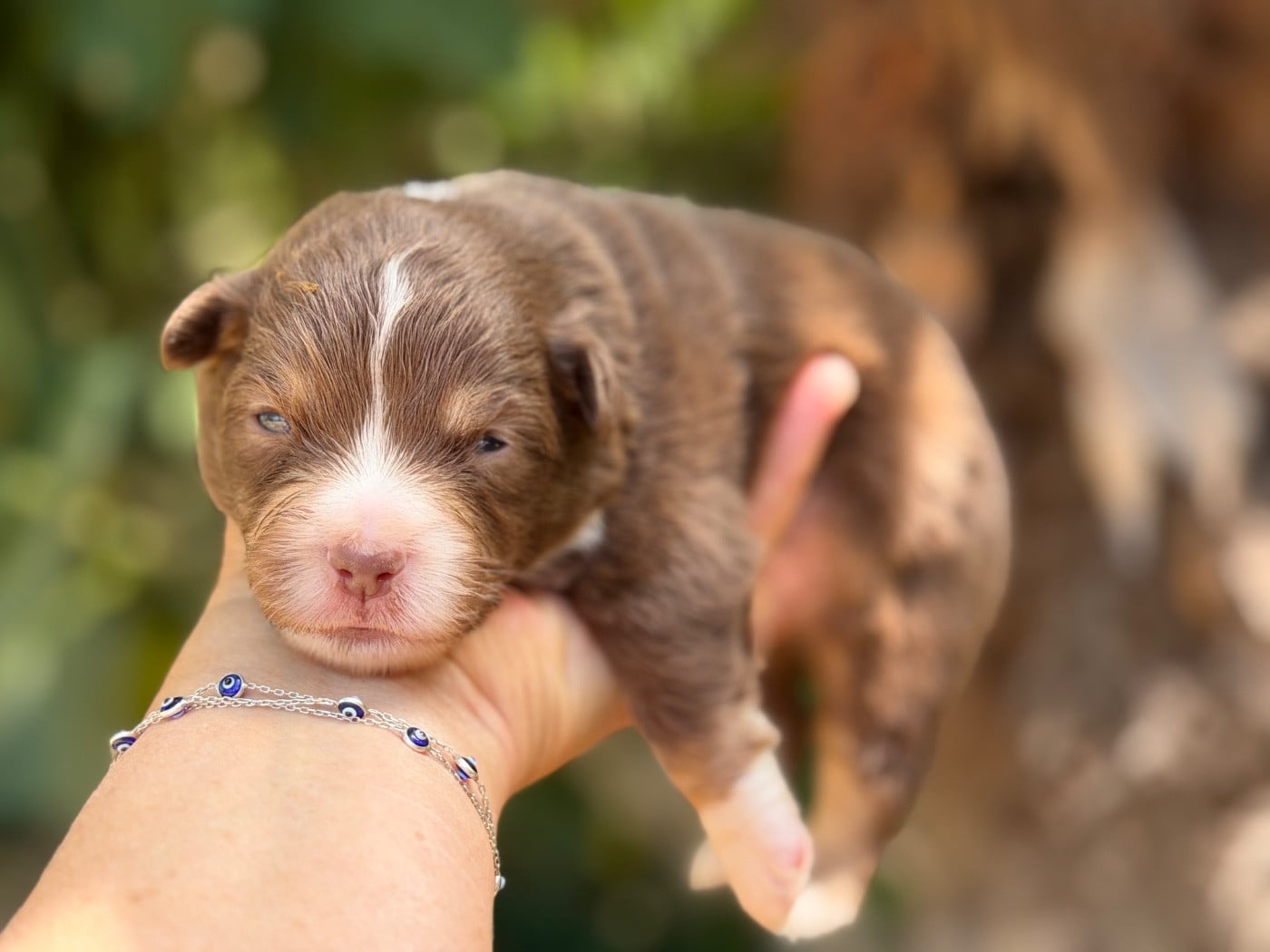 BALOU