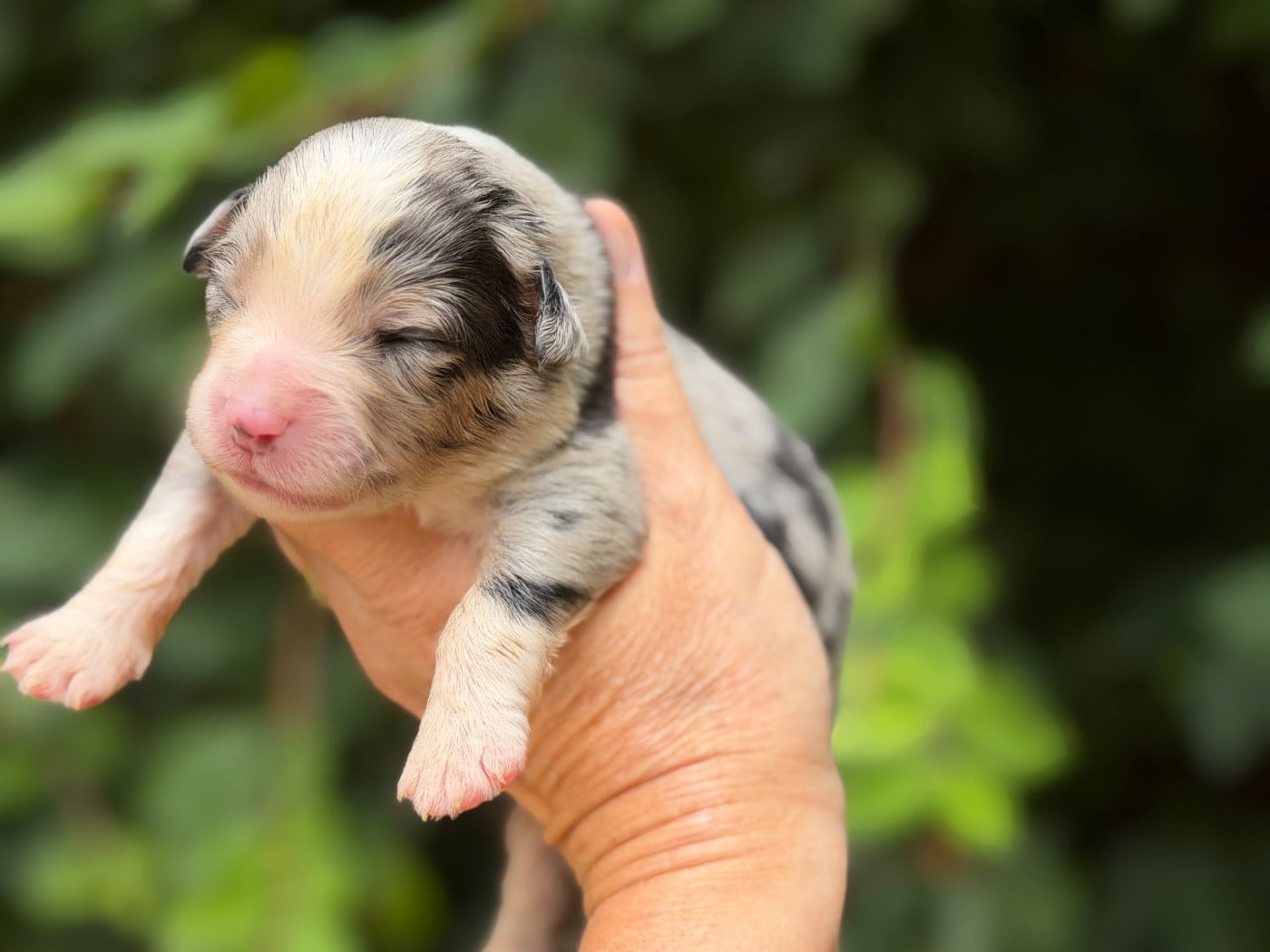 BOLD IDEAS CAN BE GOOD