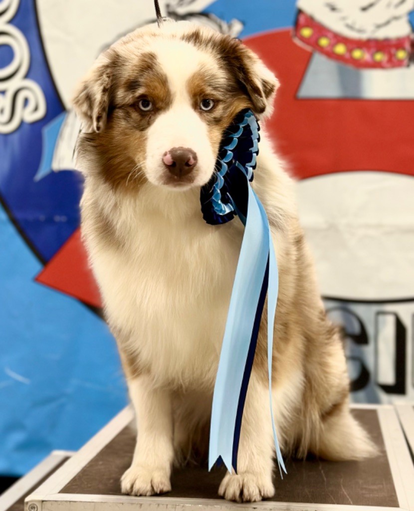 Soul of cheyenne du pic d'Espade - 3 eme excellente