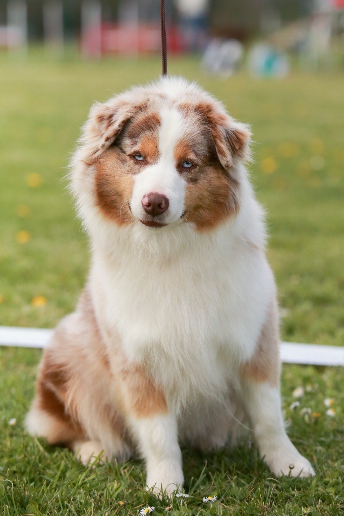 Soul of cheyenne du pic d'Espade - 2 eme excellente