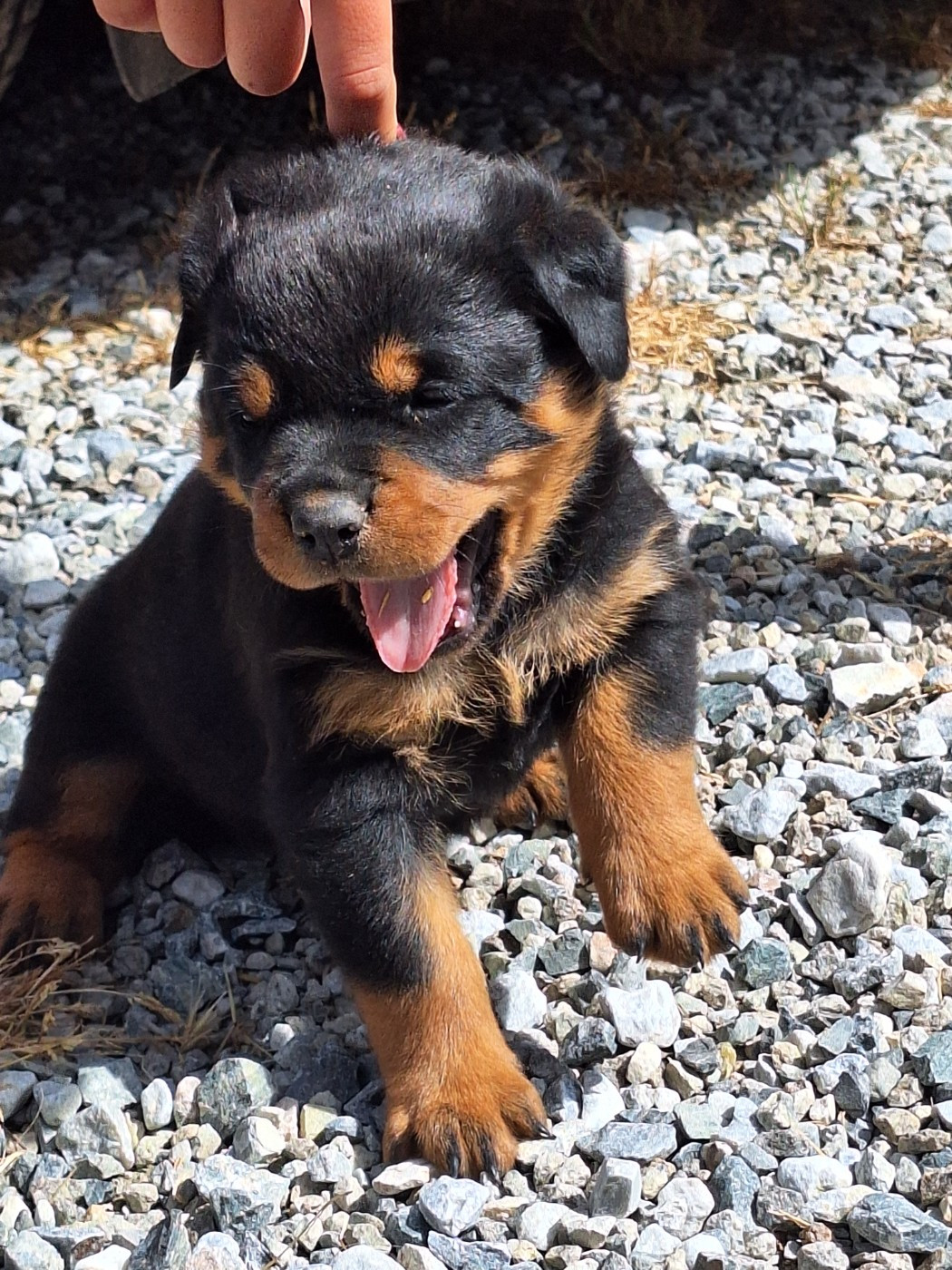 Bijoux