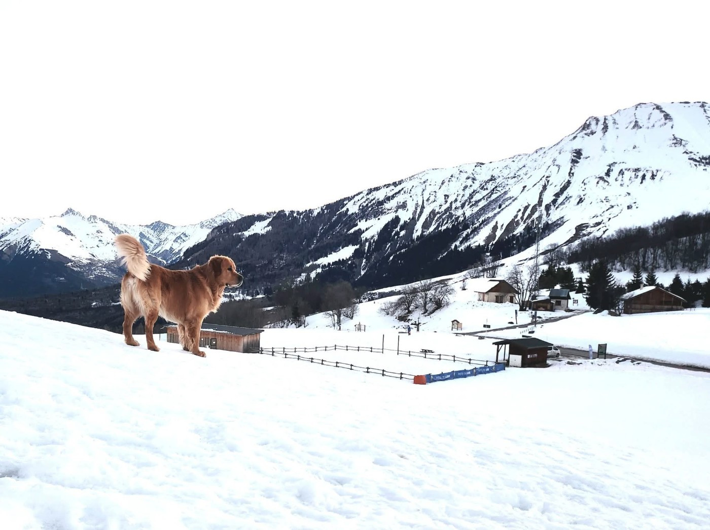 Skywalker des terres olympiennes