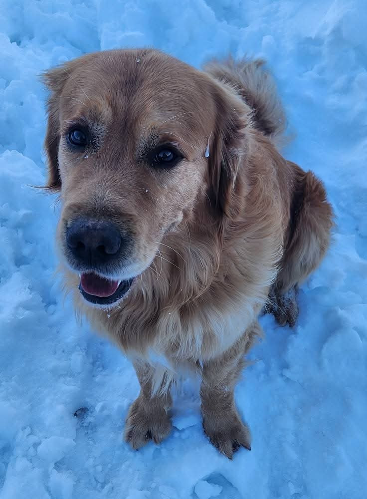Skywalker des terres olympiennes