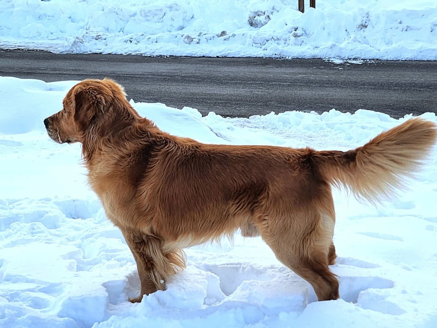Skywalker des terres olympiennes