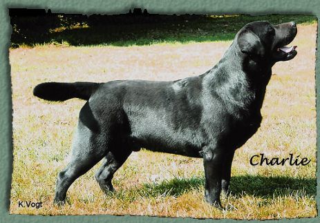 Publication : de la plaine du Vermandois