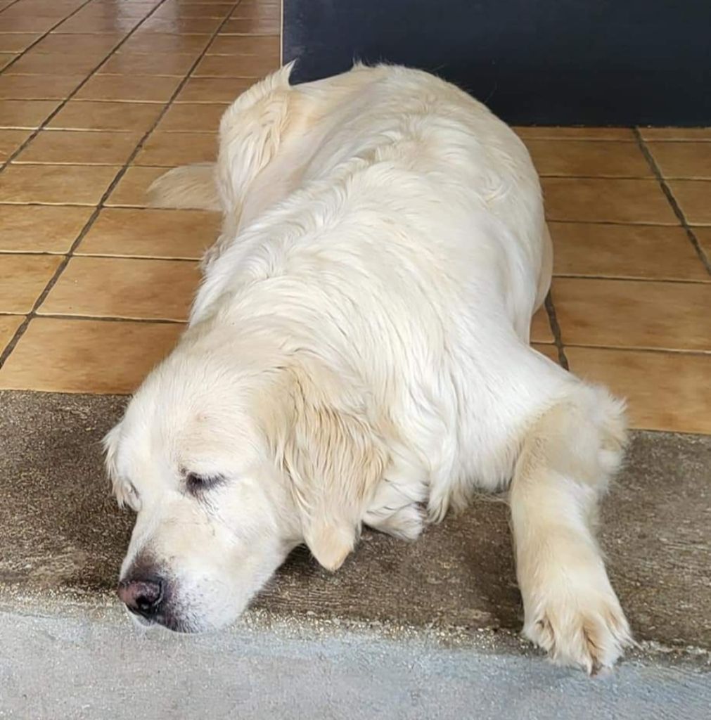 Publication : Du Moulin Sault