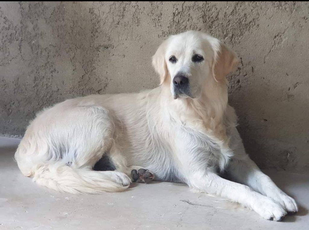 Publication : Du Moulin Sault