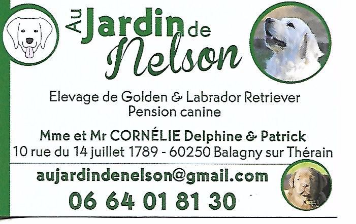 Photo Pension Canine
