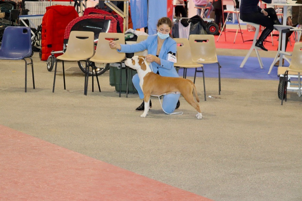 Publication : Maker's New Step