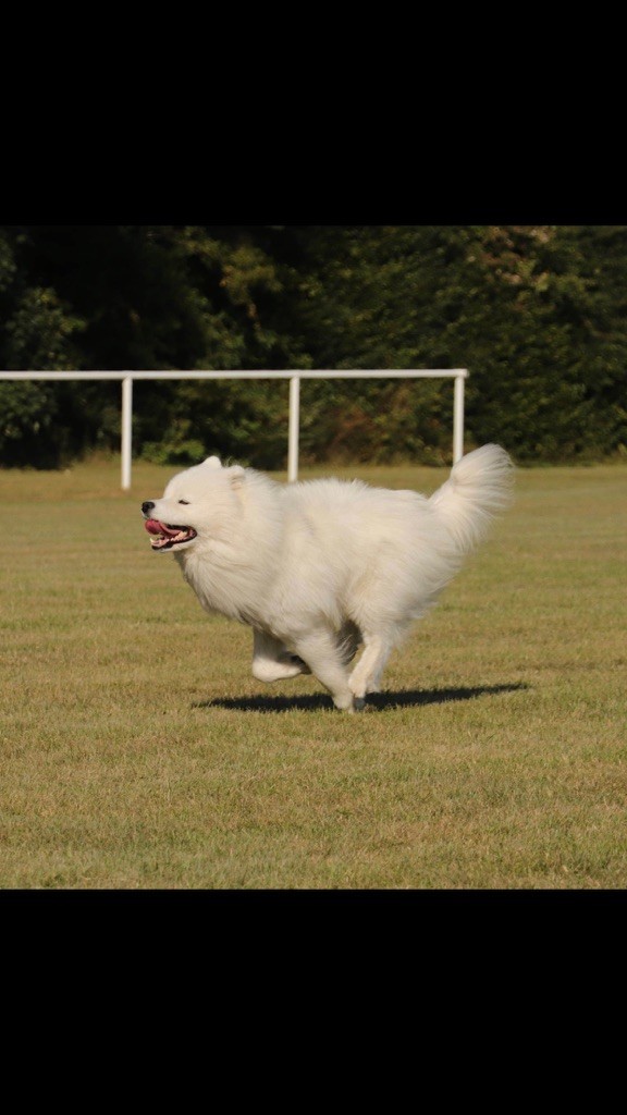 Publication : (Sans Affixe)