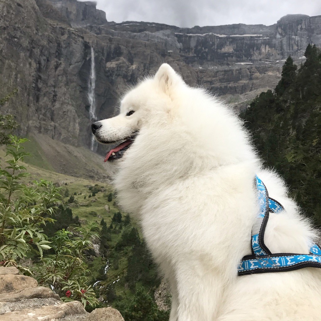 Publication : (Sans Affixe)