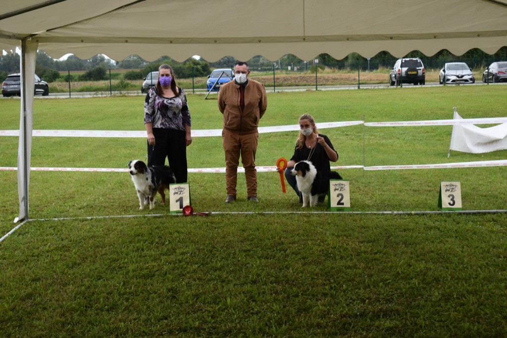 CH. Run of victory du pic d'Espade - 2e excellent classe Jeune