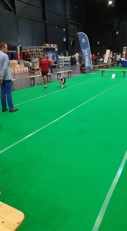 CH. Run of victory du pic d'Espade - 2e très Bon classe ouverte