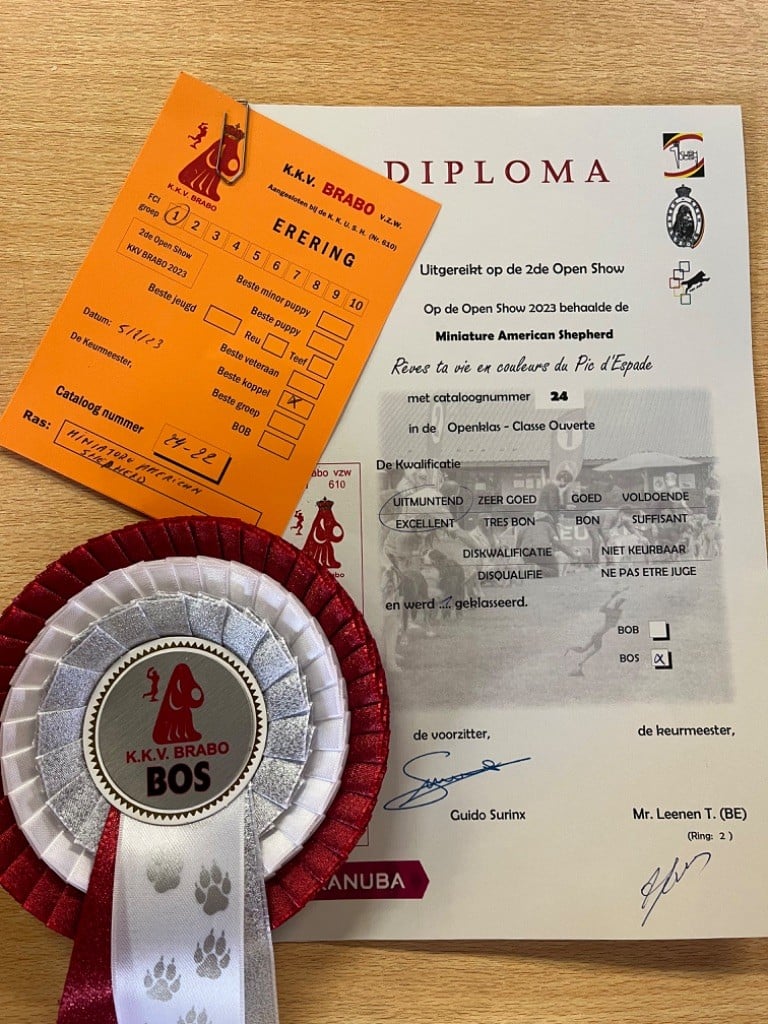 Reve ta vie en couleur du pic d'Espade - 1er excellent classe ouverte BOS