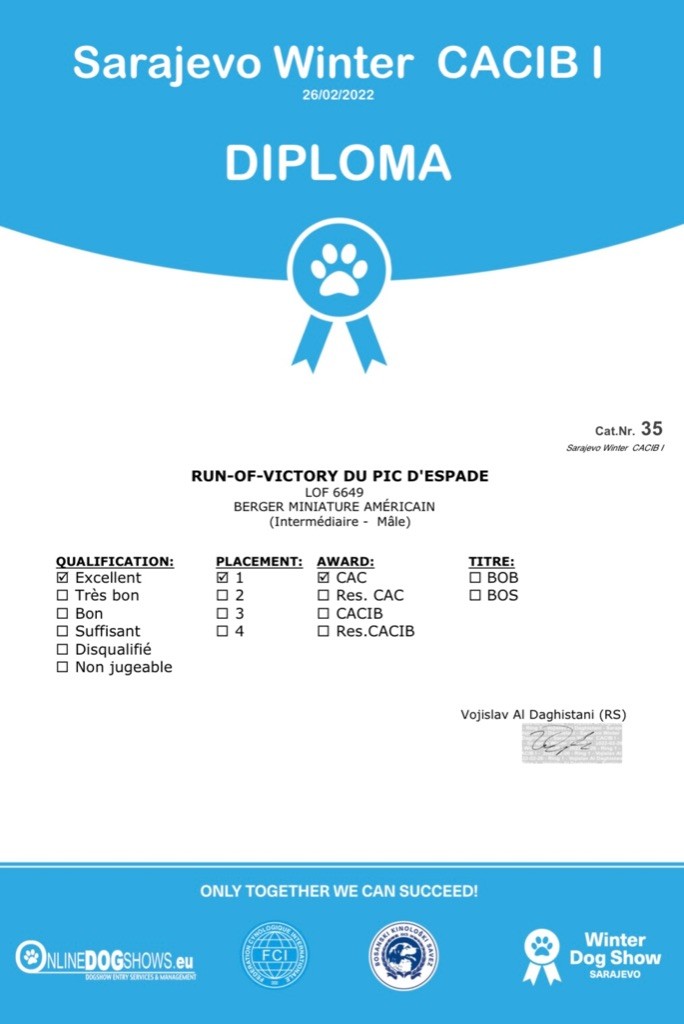 CH. Run of victory du pic d'Espade - 1er Excellent CAC classe intermédiaire