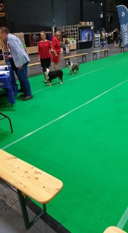 Reve ta vie en couleur du pic d'Espade - 2e Très Bon classe ouverte