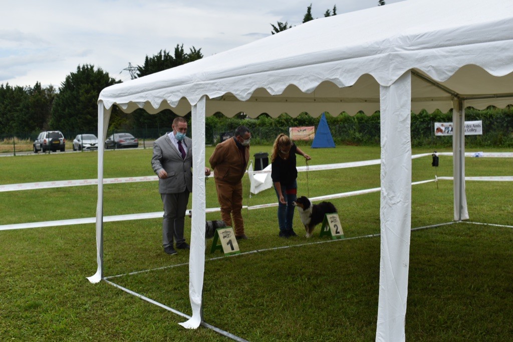 Reve ta vie en couleur du pic d'Espade - 2e excellent classe Jeune