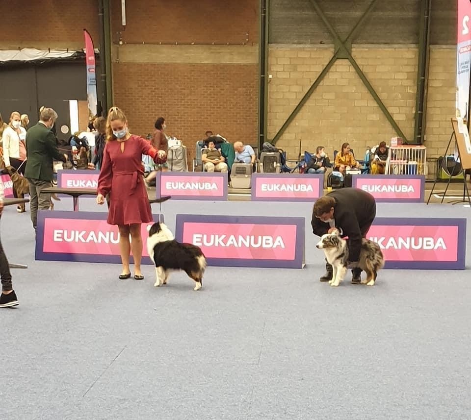 CH. Run of victory du pic d'Espade - 1er excellent CAC BOB classe ouverte