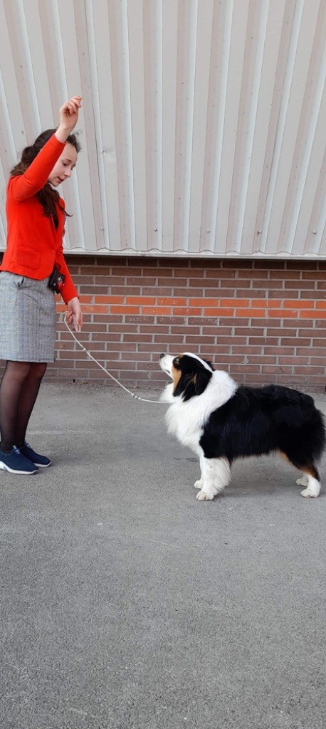 CH. Run of victory du pic d'Espade - 1er Exc. RCAC classe intermédiaire