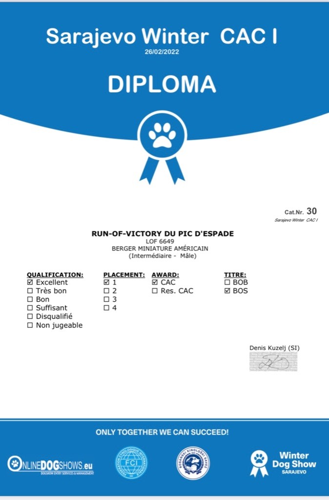 CH. Run of victory du pic d'Espade - 1er Excellent CAC Meilleur mâle et Meilleur sexe opposé classe intermédiaire