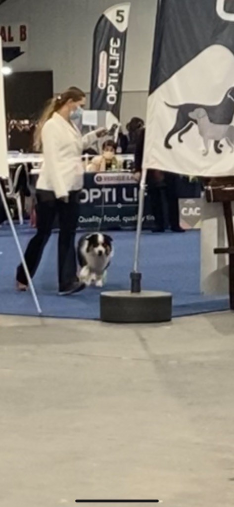 CH. Run of victory du pic d'Espade - Classe intermédiaire : 1er Exc CAC BOB