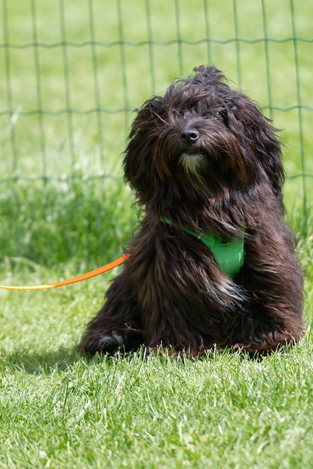 Publication : La Terre Des Roses