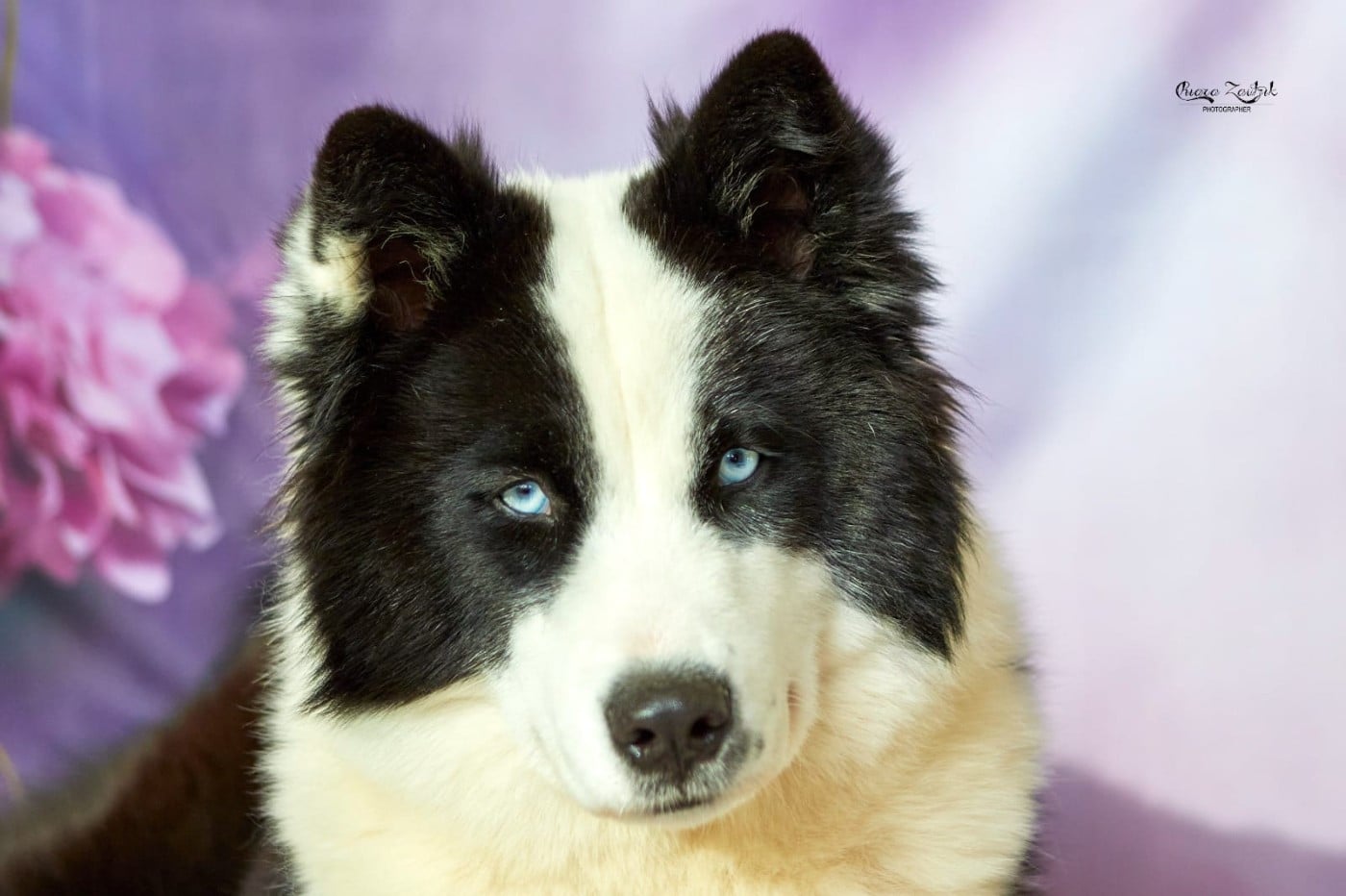 Polar Souls Vibrant naiade melody