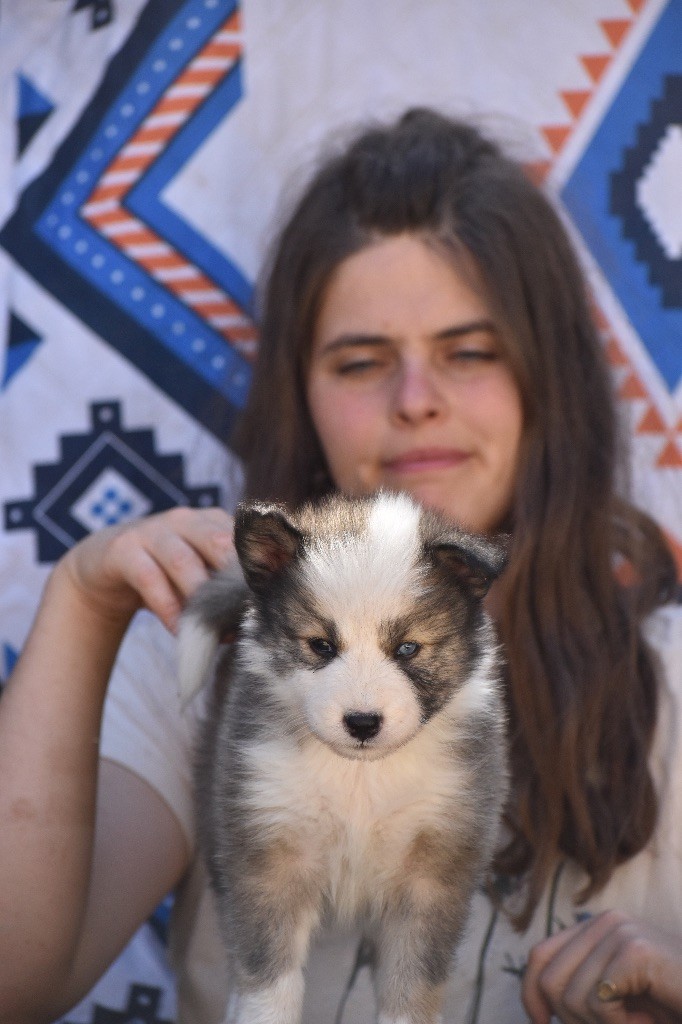 Aku lu Nauwé Kahuna