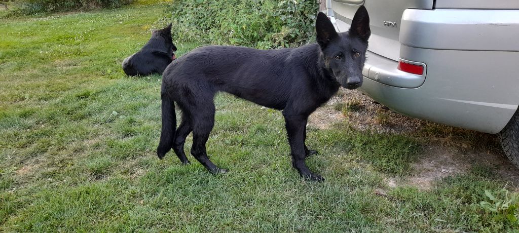 Publication : De la roche saint secret