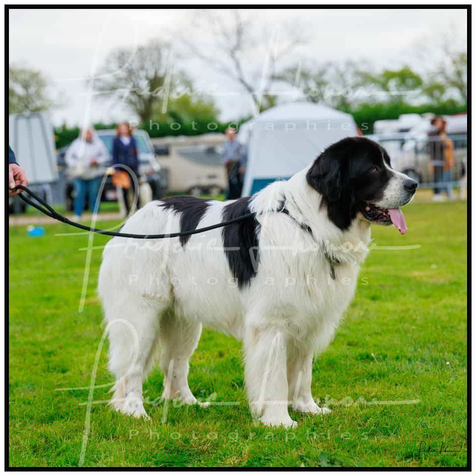 Teal'c Du Val D'ormyne