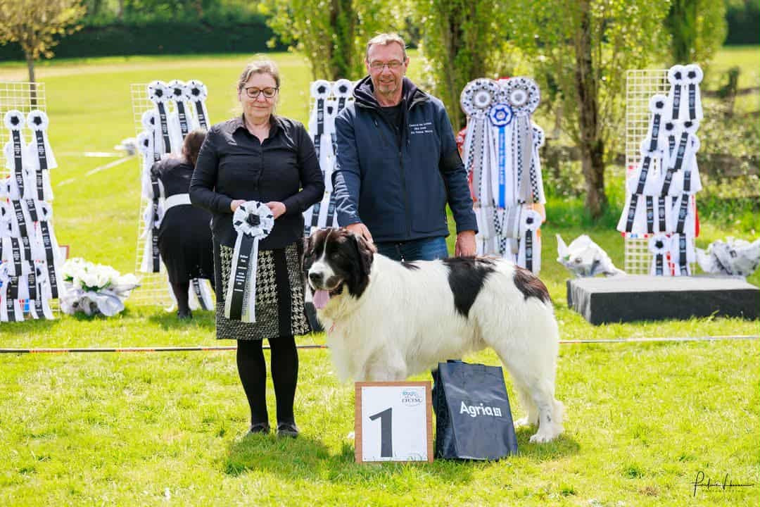 Teal'c Du Val D'ormyne