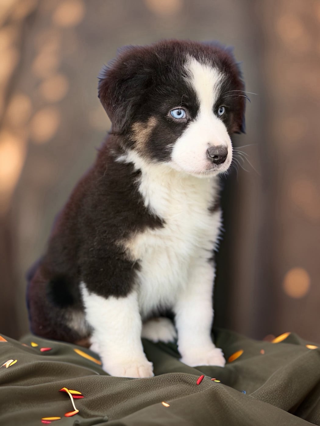 Publication : du domaine de nelson