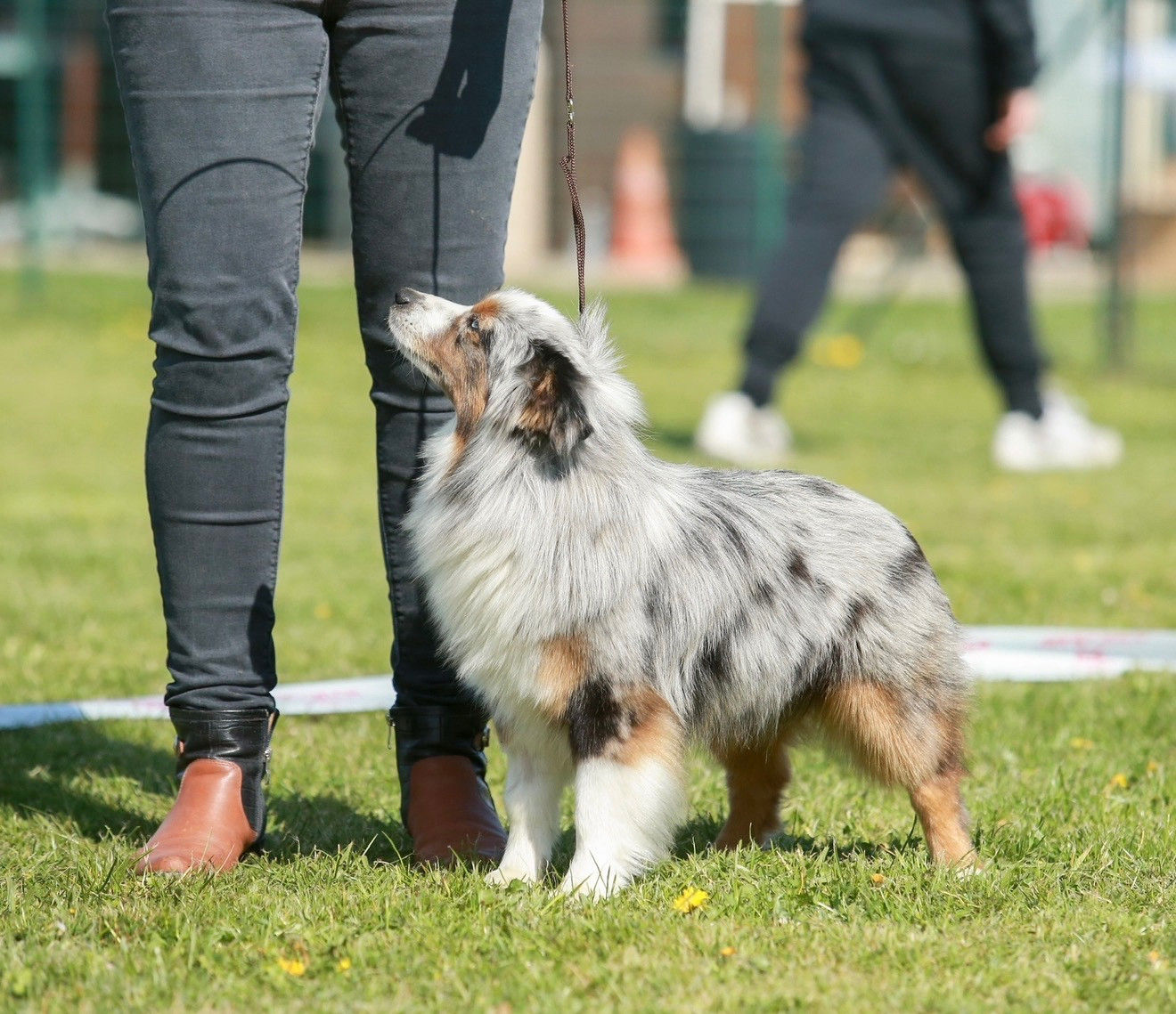 Tumultueuse agathe Des Plaines De Barbizon