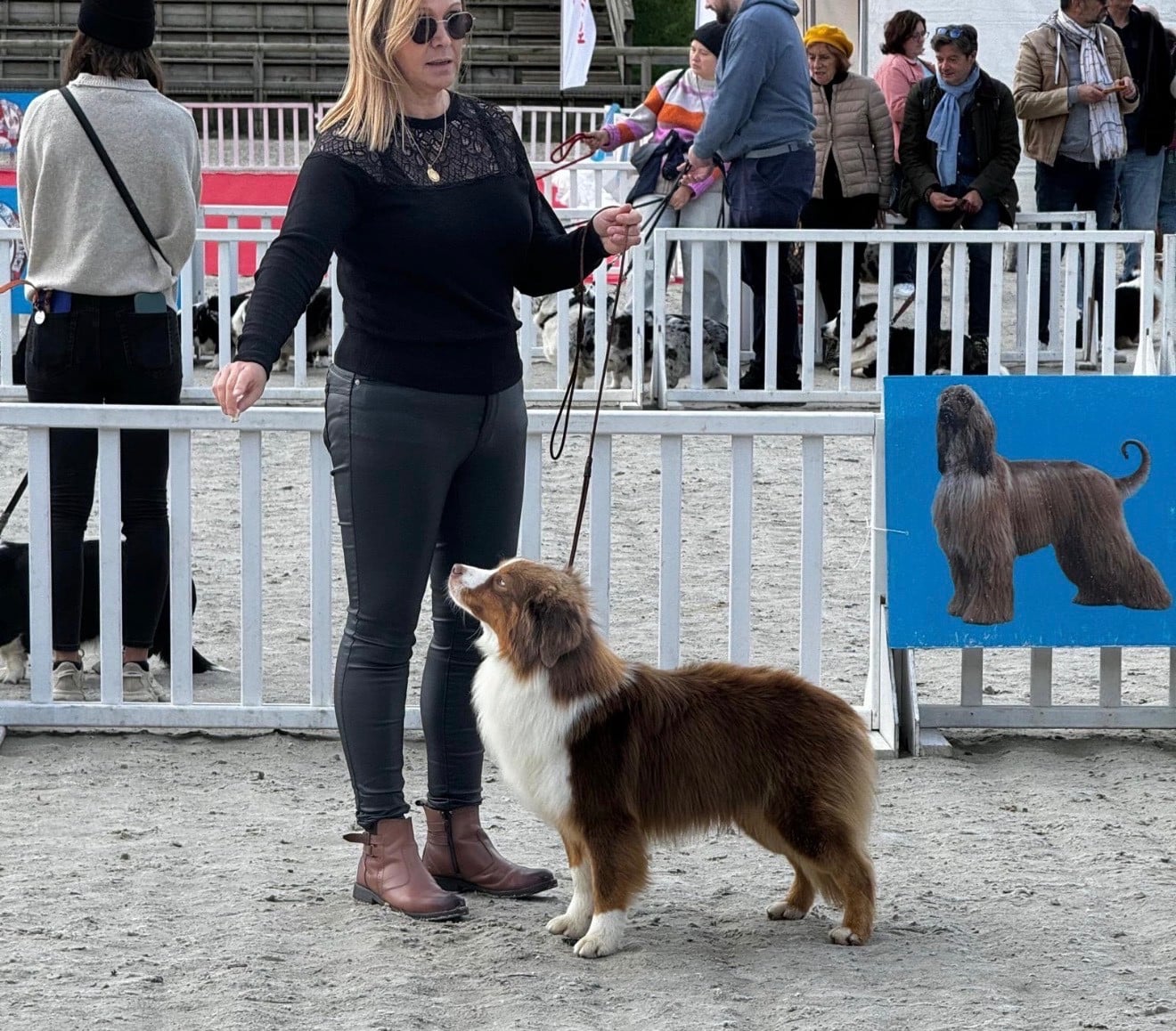 Texas Des sources sacrees