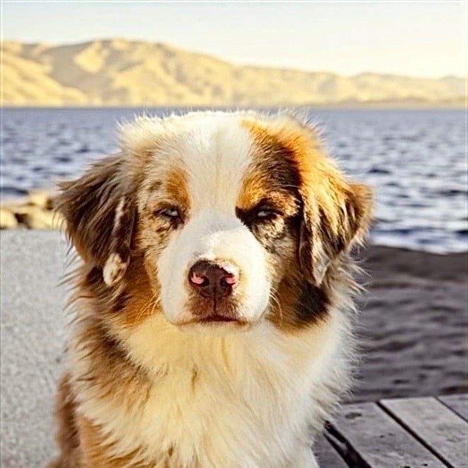 Aspen Des Plaines De Barbizon